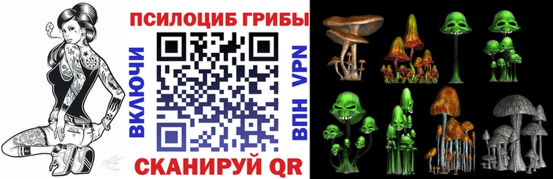 Псилоцибиновые грибы GOLDEN TEACHER  Зима 
